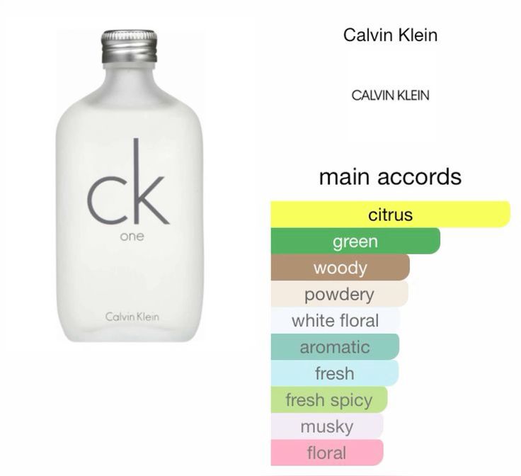 Calvin Klein CK One Eau de Toilette - 100ml | Unisex Fragrance