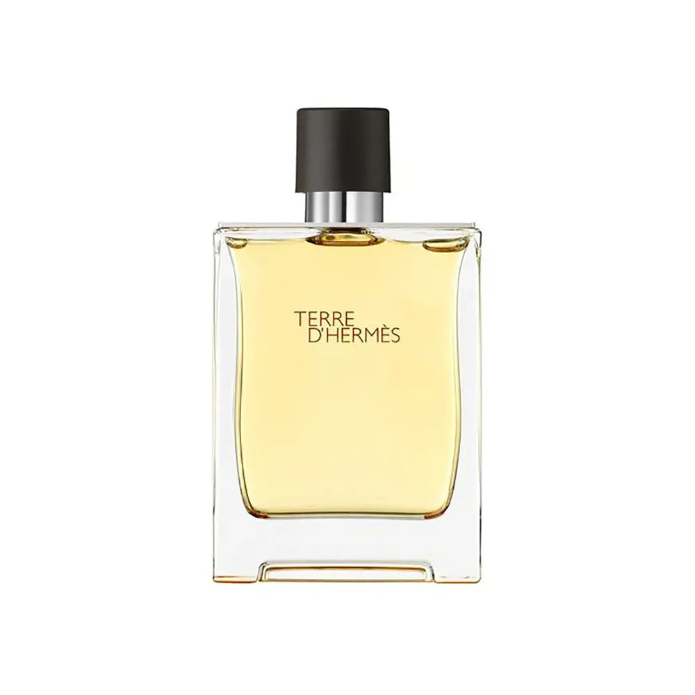 Hermes Paris - Terre d'Hermes Eau de Toilette - 100ml for Men