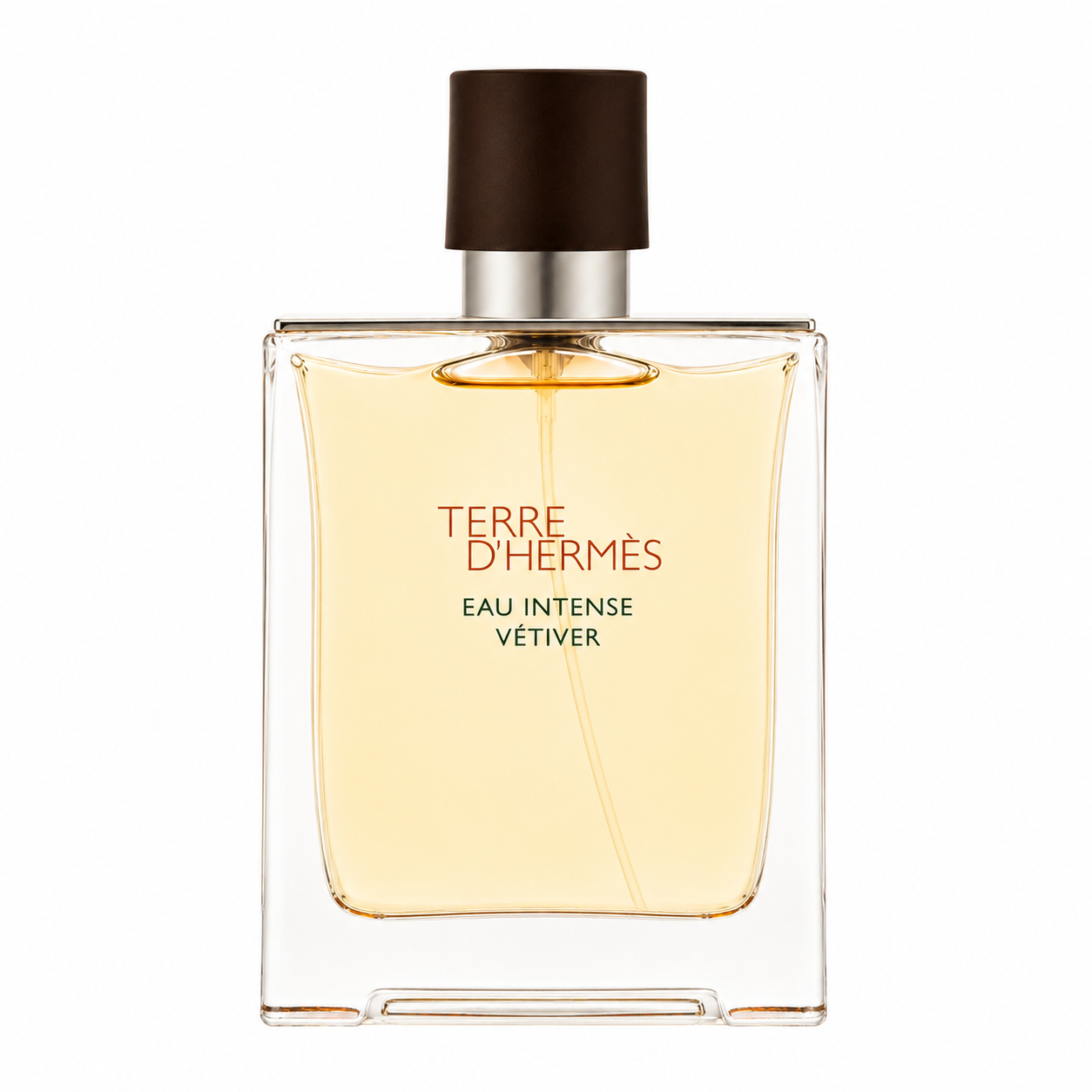 Hermes Terre d'Hermes Eau de Parfum Intense - 100ml for Men