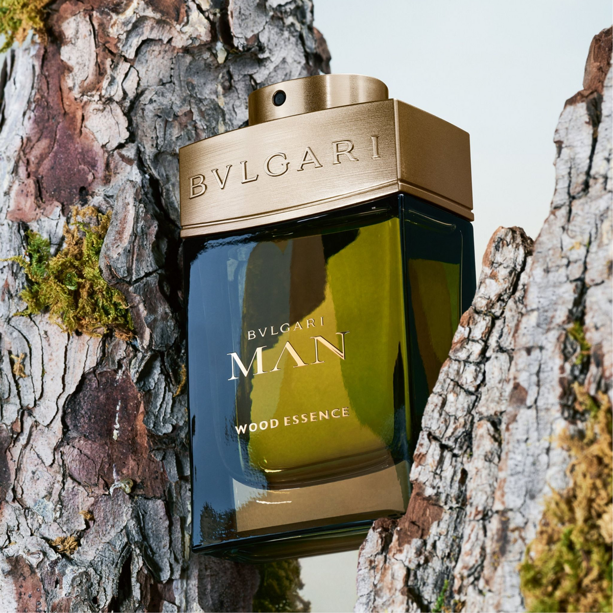 Bvlgari Man Wood Essence Eau de Parfum 100ml – Men's Fragrance