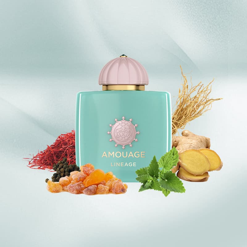 Amouage Lineage Eau de Parfum - 100ml | Unisex Fragrance