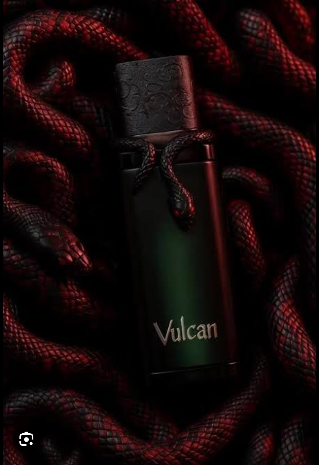 French Avenue Vulcan Black Eau de Parfum - Luxury Unisex Fragrance with Snake Emblem - 100ml