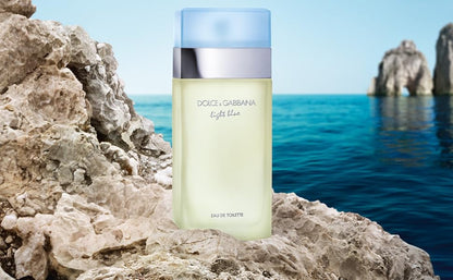 Dolce & Gabbana Light Blue Eau de Toilette - 100ml for Women