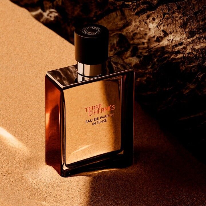 Hermes Terre d'Hermes Eau de Parfum Intense - 100ml for Men