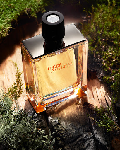 Hermes Paris - Terre d'Hermes Eau de Toilette - 100ml for Men